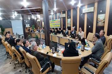 فریدون جعفریان فر